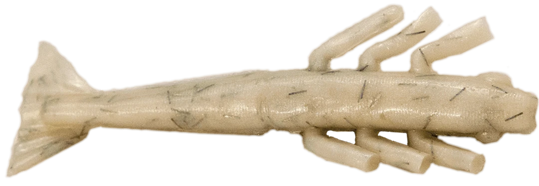 Fishbites Fight Club 3.5" Fightin' Shrimp Lures