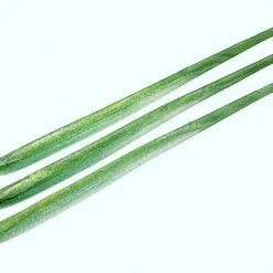 JoeBaggs Block Island Eels 14.5" Soft Plastics Lures