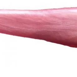 Al Gag's Lures Al Gag's Whip-It Fish Rigged Soft Plastics