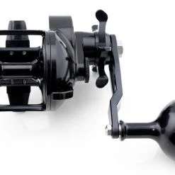 Accurate Tern Star Drag Conventional Reels