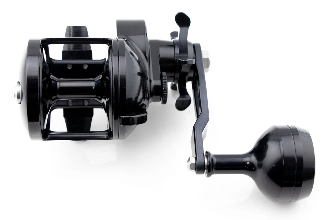 Accurate Tern Star Drag Conventional Reels