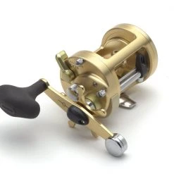 Shimano Calcutta B Baitcasting Conventional Reels