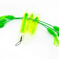 White Water Outfitters White Water Custom