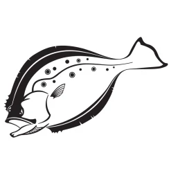 SteelFin Fish Species Decals Accessories