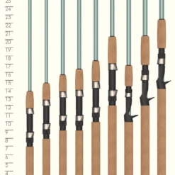 St. Croix Avid Series Inshore Spinning Rods
