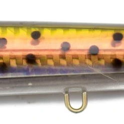 Madd Mantis Pencil Poppers Lures