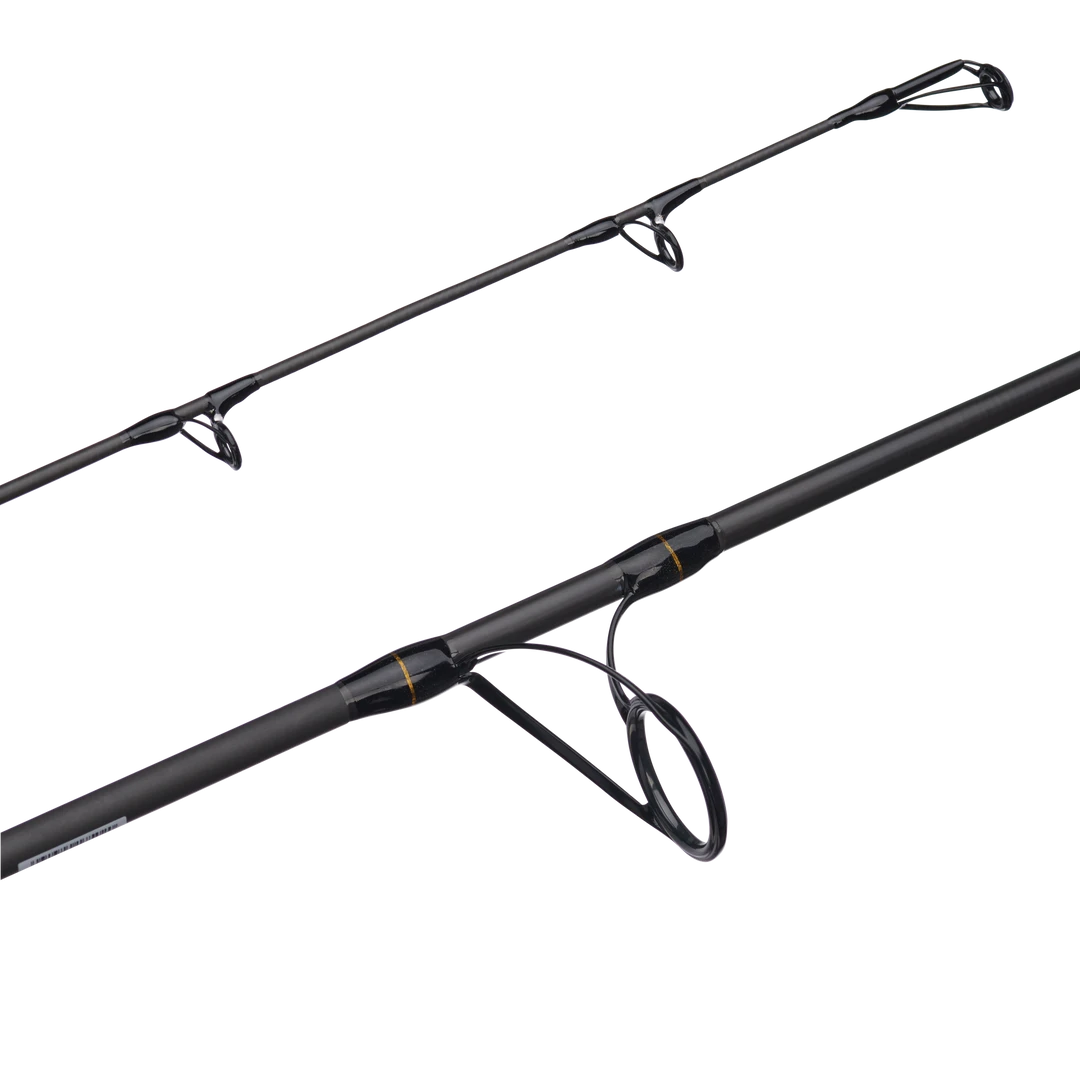 Penn Battalion II Inshore Spinning Rods
