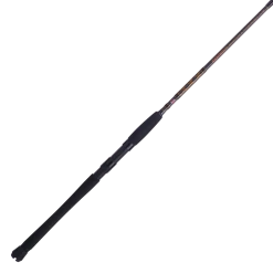 Penn Squadron III Inshore Spinning Rods