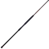 Penn Squadron III Surf Spinning Rods