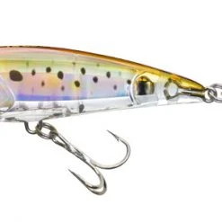 Yo-Zuri 3D Inshore Popper Lures