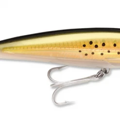Rapala X-Rap Saltwater Slashbait Lures