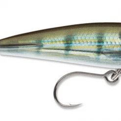 Rapala X-Rap Saltwater SubWalk Lures