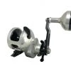 Accurate Tern Star Drag Conventional Reels