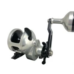 Accurate Tern Star Drag Conventional Reels