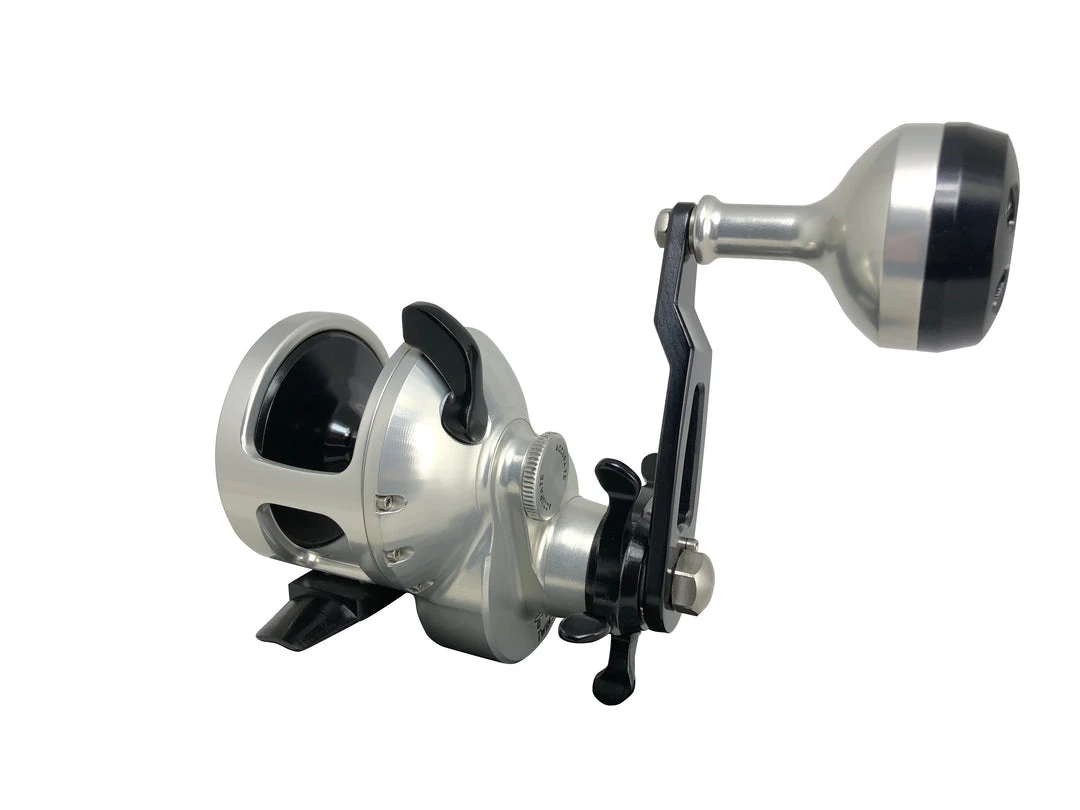 Accurate Tern Star Drag Conventional Reels