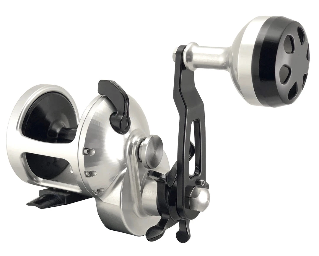 Accurate Tern Star Drag Conventional Reels