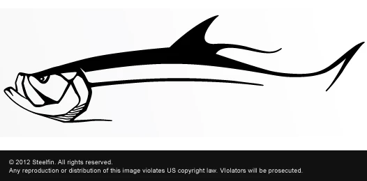 SteelFin Fish Species Decals Accessories