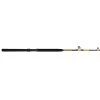 Shakespeare Ugly Stik Bigwater Stand-Up Conventional Rods