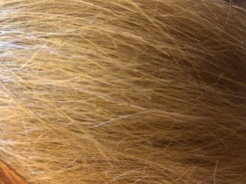 Squmpish Flies Squimpish Hair Fly Fishing