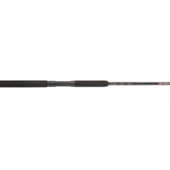 Penn Rampage Boat Conventional Rods