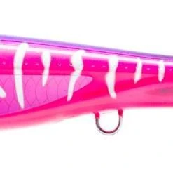 Nomad Design Dartwing 165 Skipping Popper Lures
