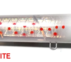 Madd Mantis Plank Spook Lures