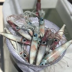 Ling Cod Jigs Lures Ling Cod Living Squid Glow Jigs