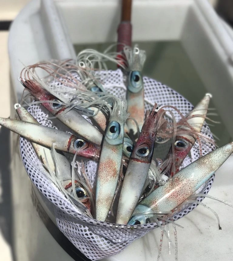 Ling Cod Jigs Lures Ling Cod Living Squid Glow Jigs