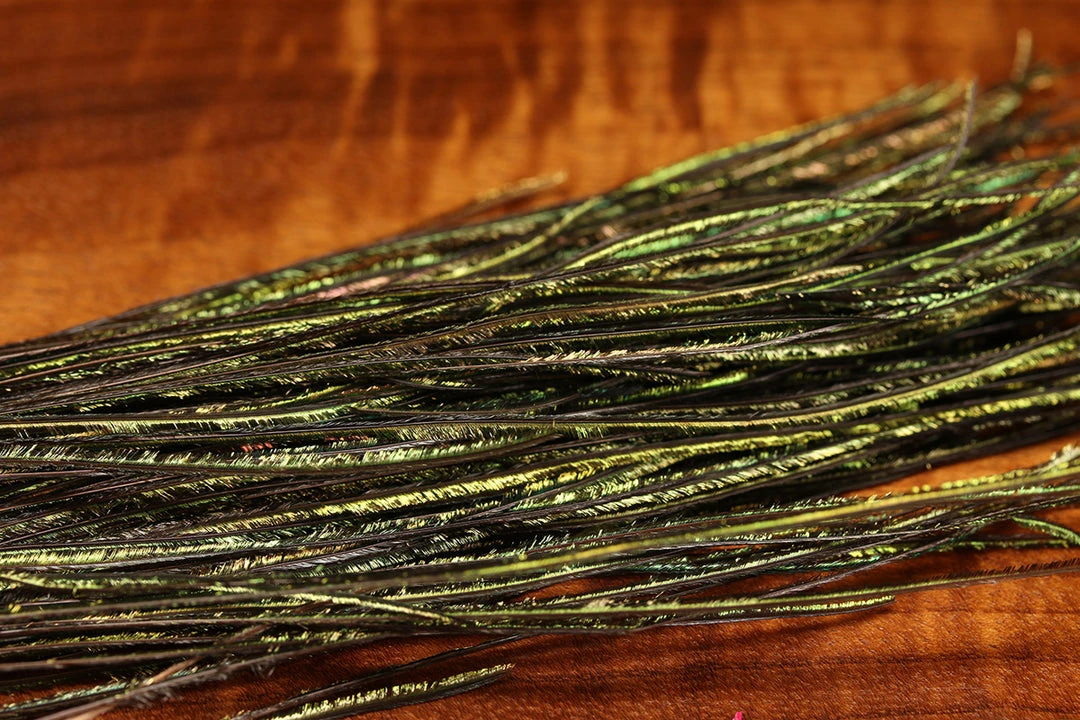 Hareline Fly Fishing Strung Peacock Herl 5-7" Small